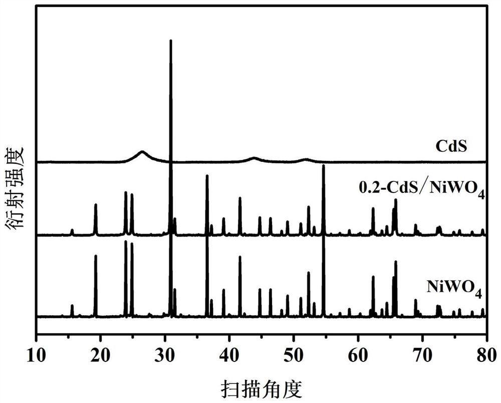 Cadmium sulfide/nickel tungstate composite visible light catalyst, preparation method and application