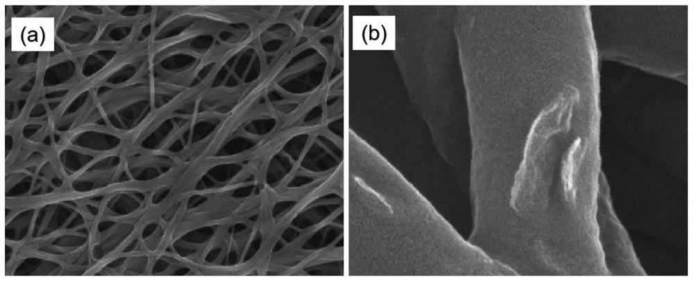 Two-dimensional structure selenium telluride modified carbon fiber electrode material and preparation method thereof