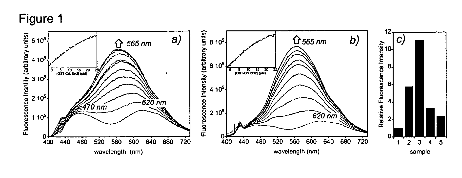 Fluorescent probes for biological studies