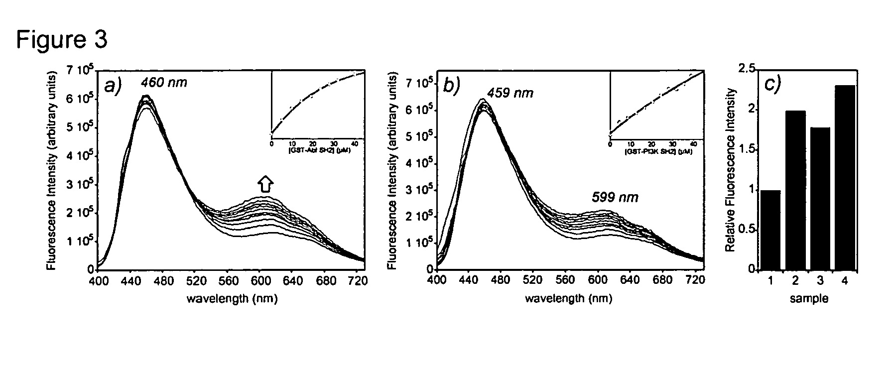 Fluorescent probes for biological studies