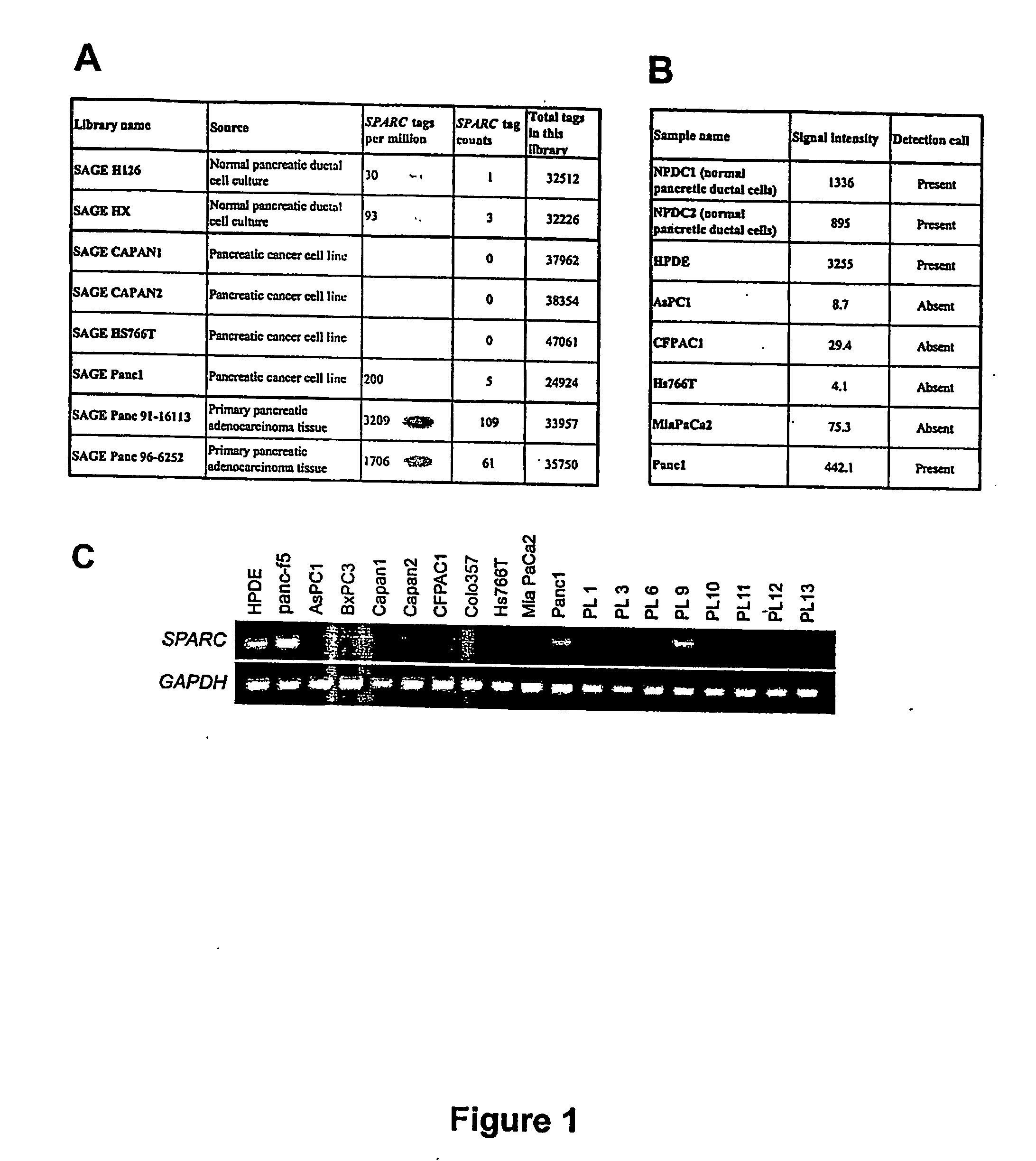 Methylated Gene Biomarkers For Detecting Cancer