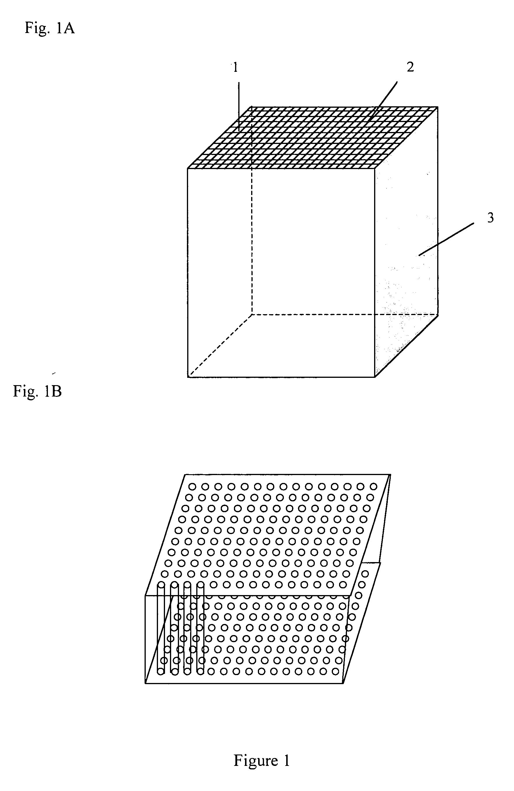 Large-scale parallelized DNA sequencing