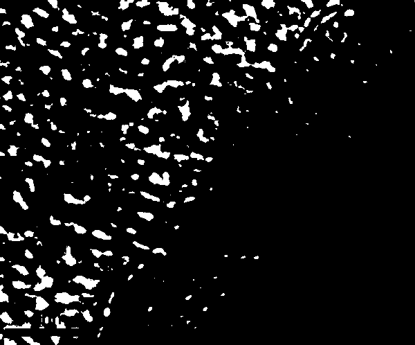 Preparation method for graphene/molybdenum disulfide composite material