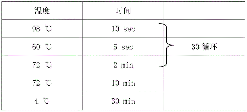 Method for synthesizing secreted human serum albumin employing bombyx mori posterior silk gland