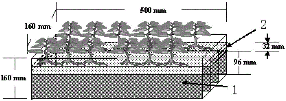 Large-scale propagation technology for mycorrhiza fungi inoculum