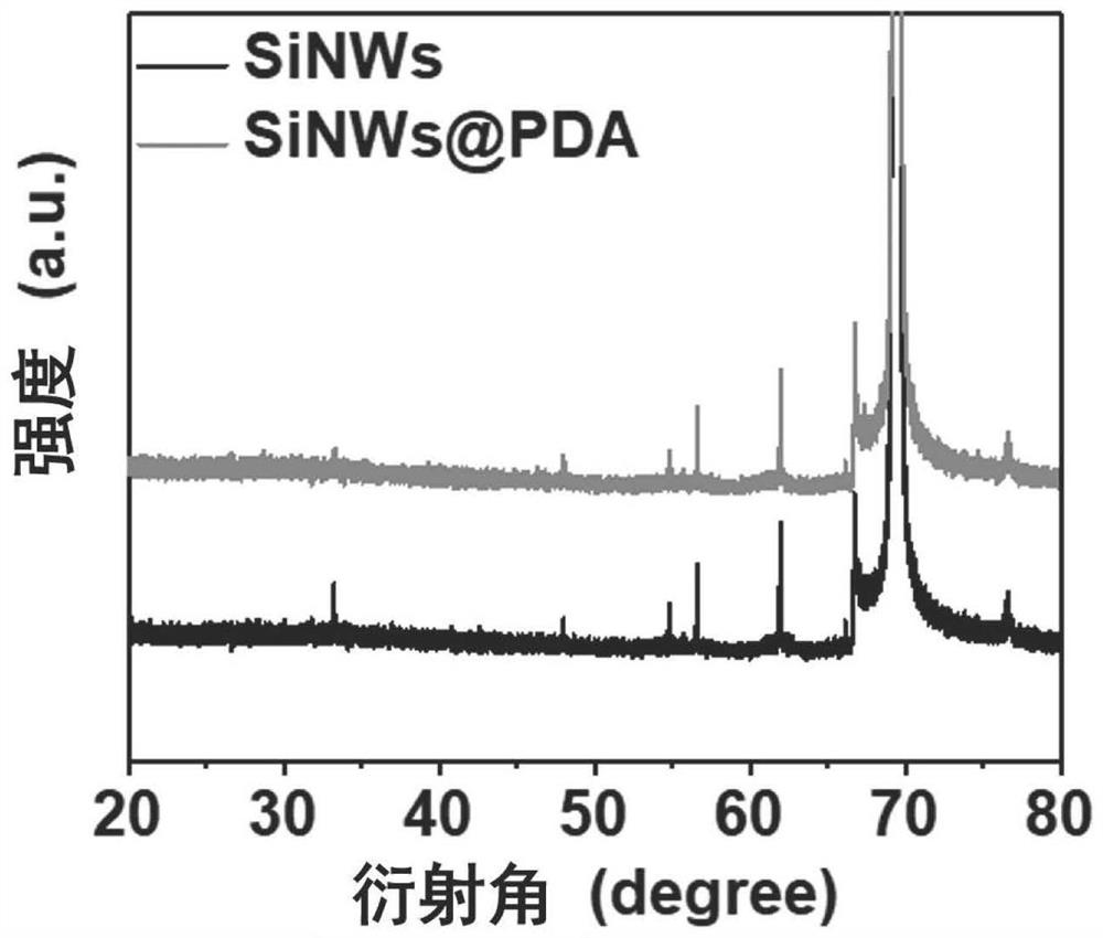 Photoelectric immunosensor based on silicon nanowire array@polydopamine composite structure and preparation method