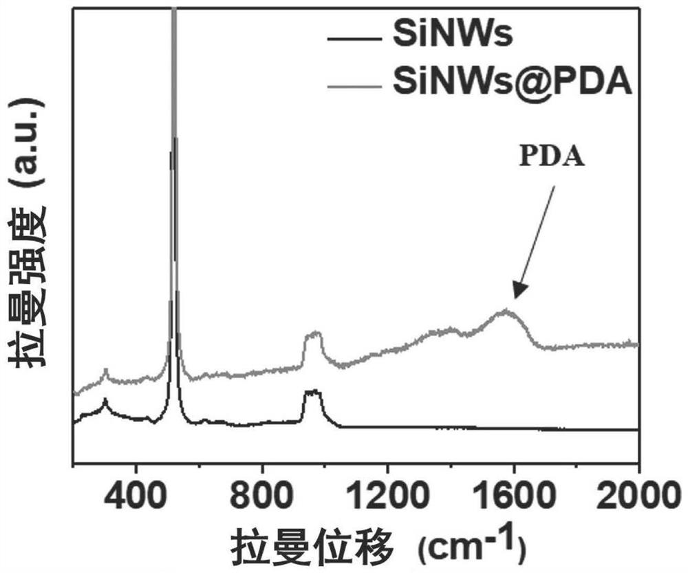 Photoelectric immunosensor based on silicon nanowire array@polydopamine composite structure and preparation method