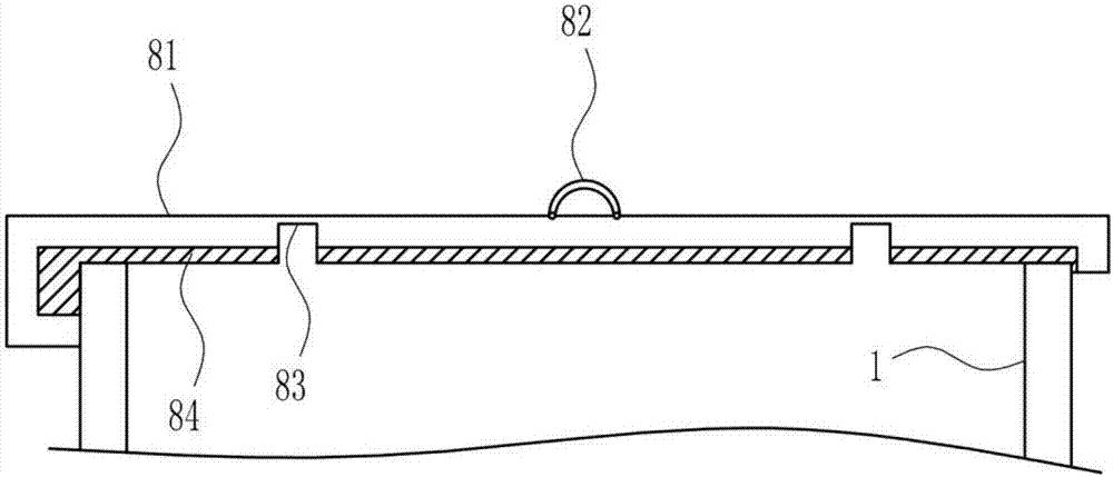 Household sewage phosphorus removing apparatus