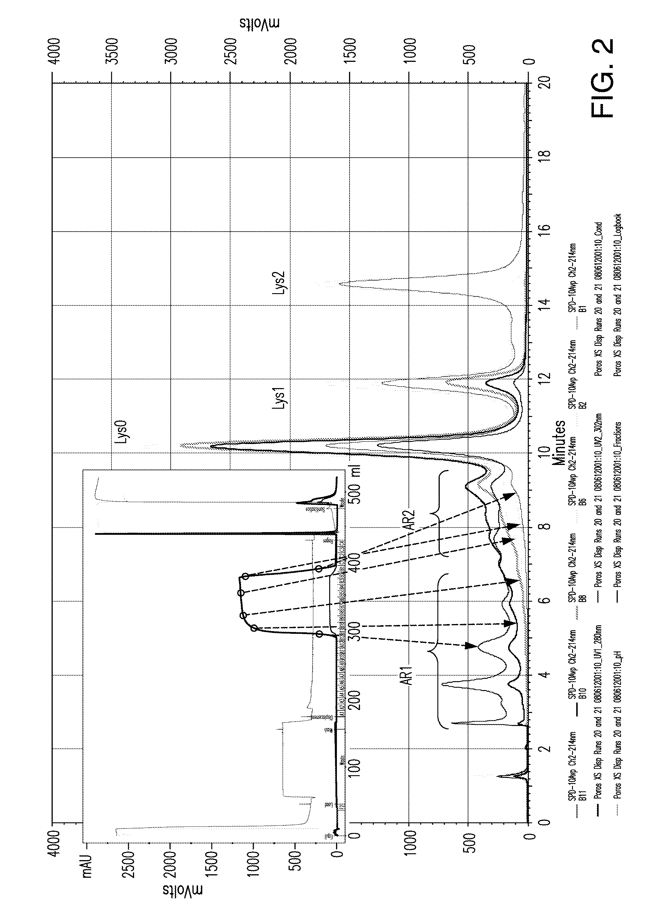 Protein purification using displacement chromatography