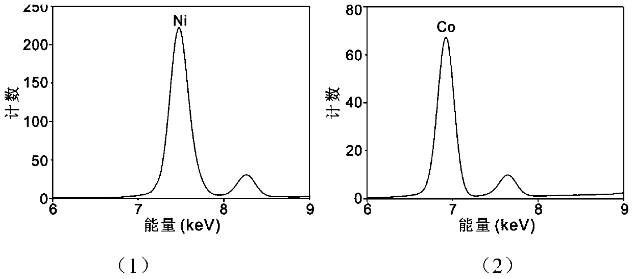 X-ray multicolor genetic marker probe based on synchronous light source as well as preparation method and application thereof