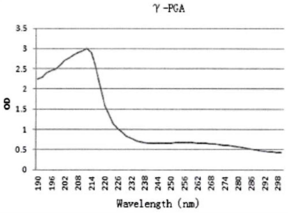 Green antibacterial brittleness-keeping fresh-keeping packaging method for sugar-core Fuji apples