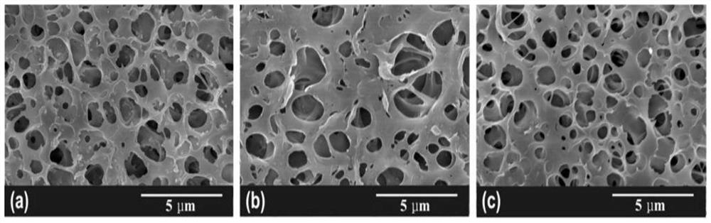 Polymer electrolyte, preparation method and lithium metal battery