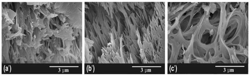 Polymer electrolyte, preparation method and lithium metal battery