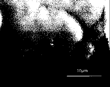 Preparation method of silver-modified crystal form titanium dioxide nanotube layer