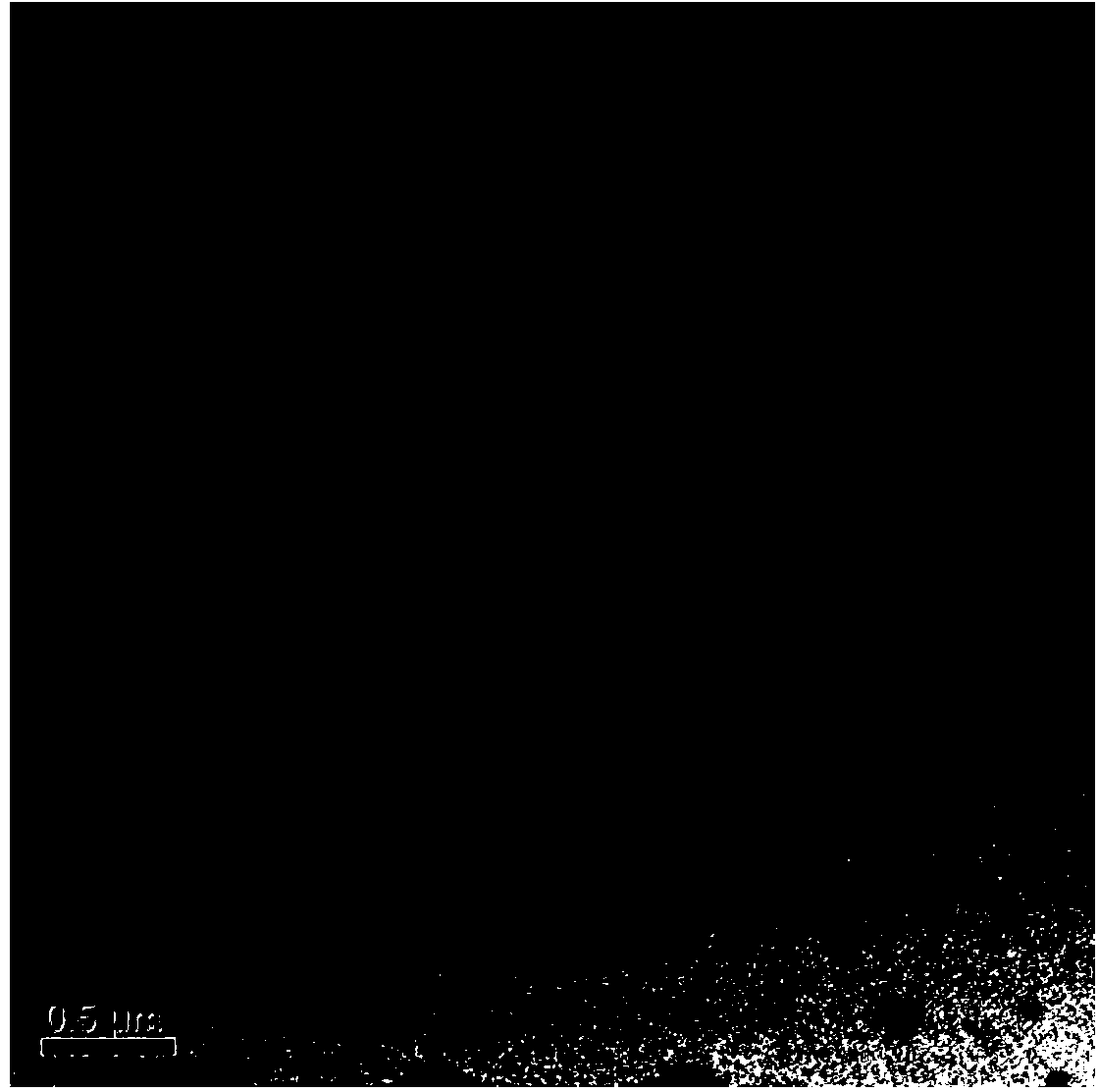 Diagnosis and treatment integrated bovine serum albumin anticancer nanoparticle and preparation method thereof