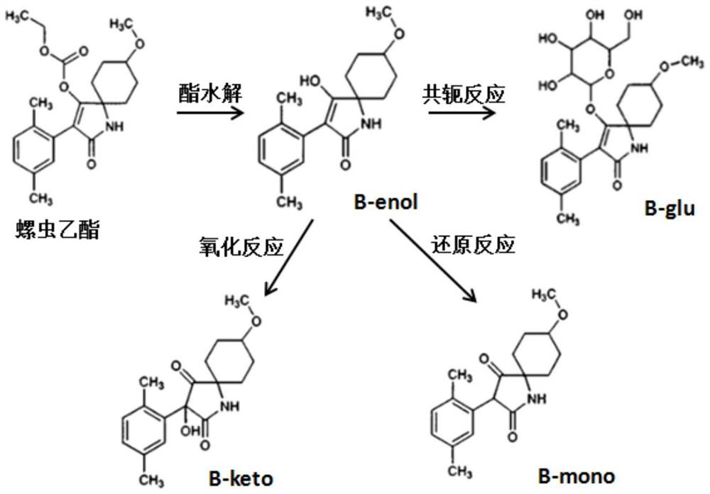 Pesticide composition and application thereof