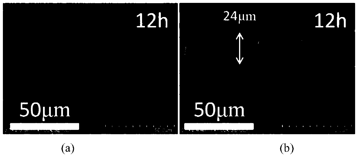 Method for synthesizing DDR molecular sieve membrane