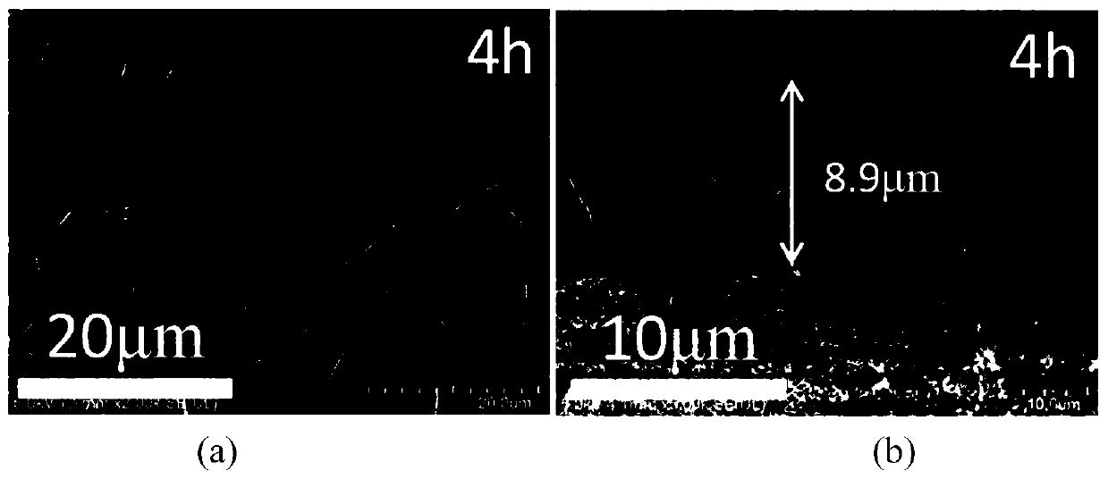 Method for synthesizing DDR molecular sieve membrane