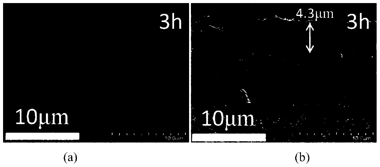 Method for synthesizing DDR molecular sieve membrane