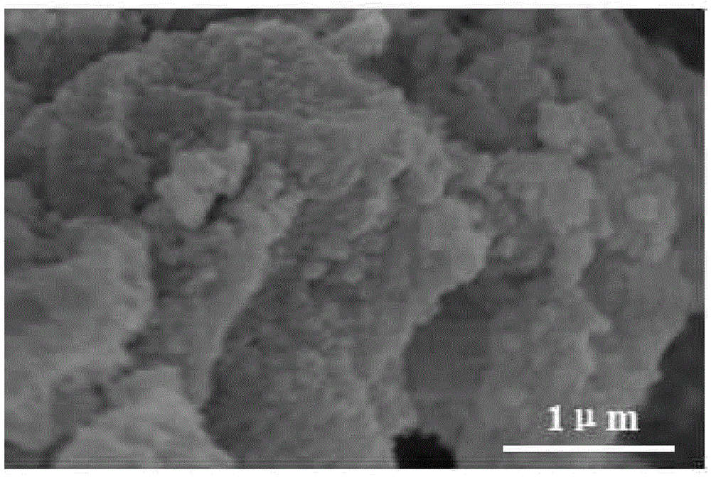 Layered silicate nanoclay/traditional Chinese medicine active monomer molecularly imprinted polymer and preparation method thereof