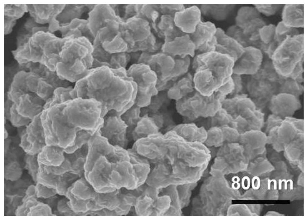 A preparation method of molybdenum disulfide/silver nano-immune substrate material and its reproducible immunoassay application