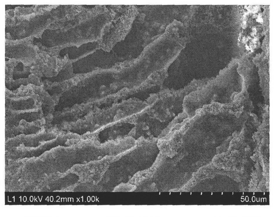 Fuel oil desulfuration membrane absorbing material and preparation method thereof