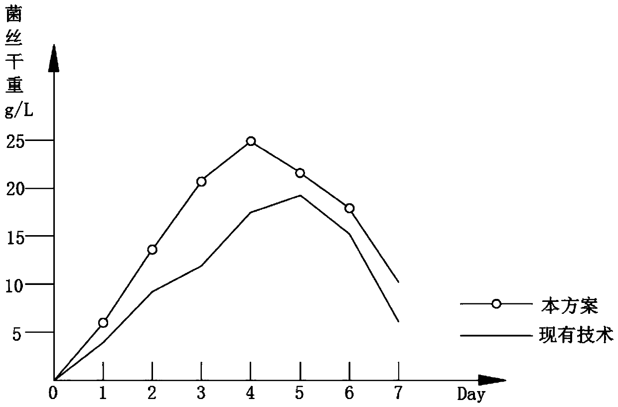 Production process for producing tricholoma matsutake mycelium from corn powder fermentation