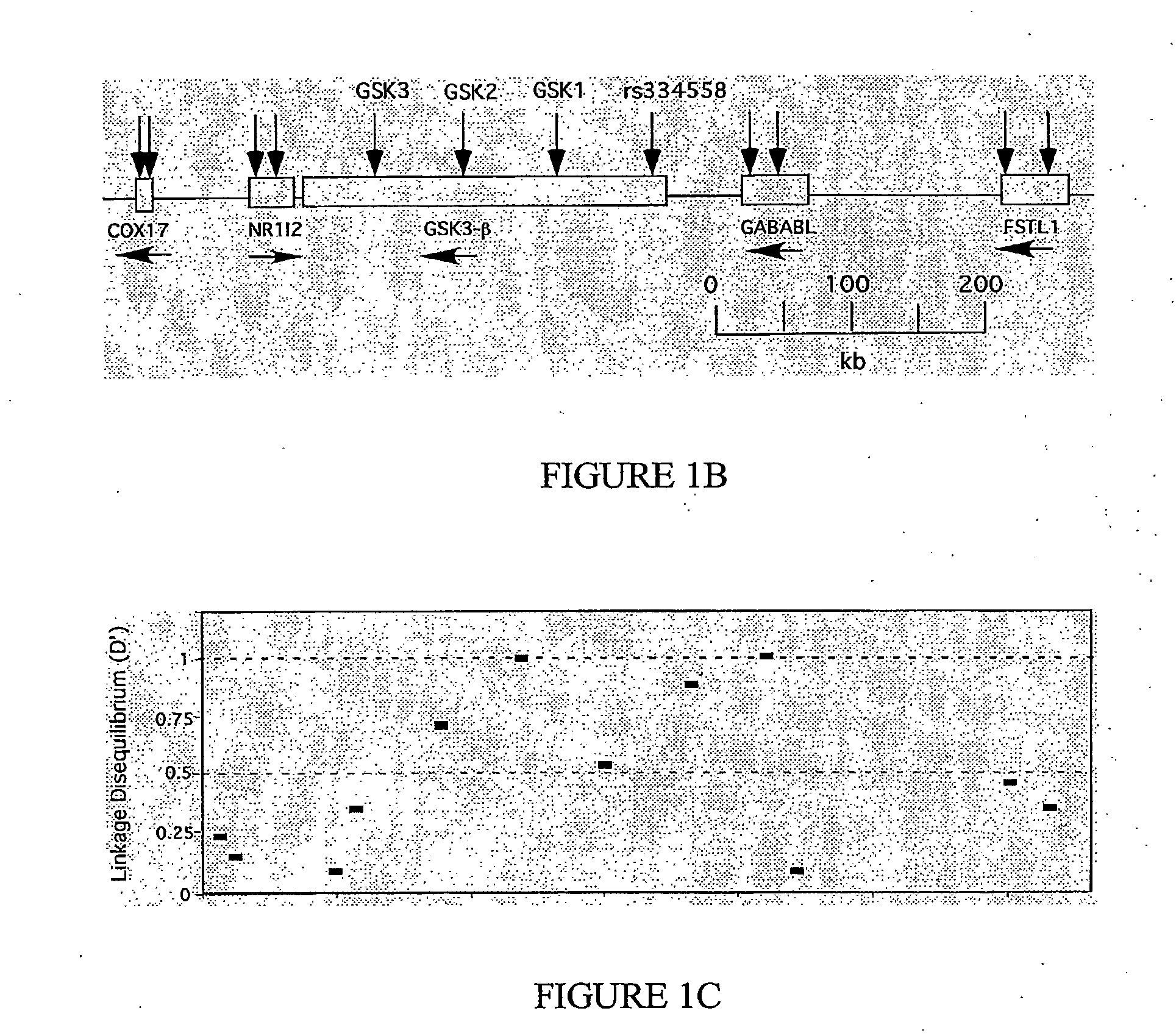 Detecting disease association with aberrant glycogen synthase kinase 3beta expression