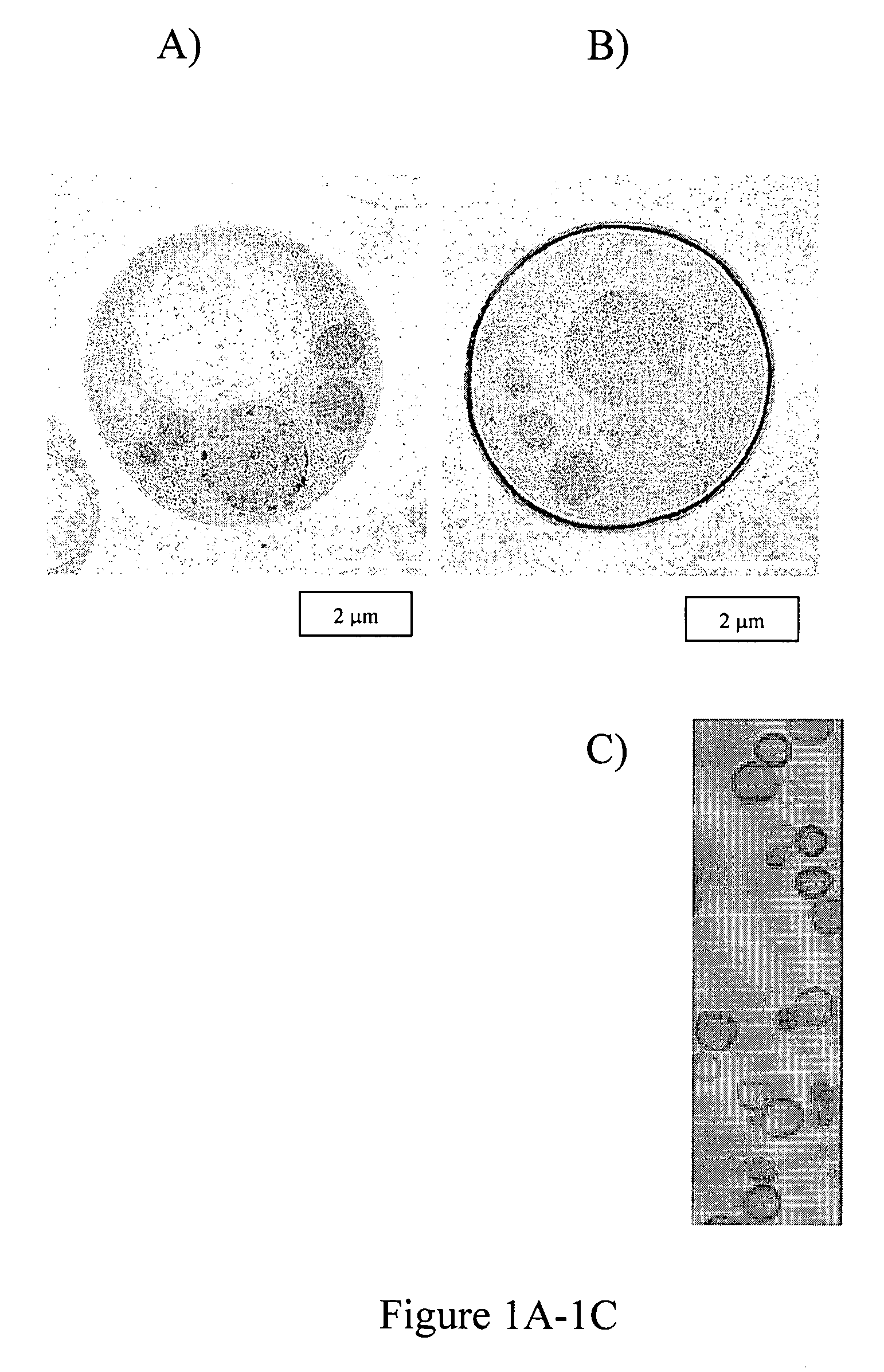 Melanin nanoshells for protection against radiation and electronic pulses