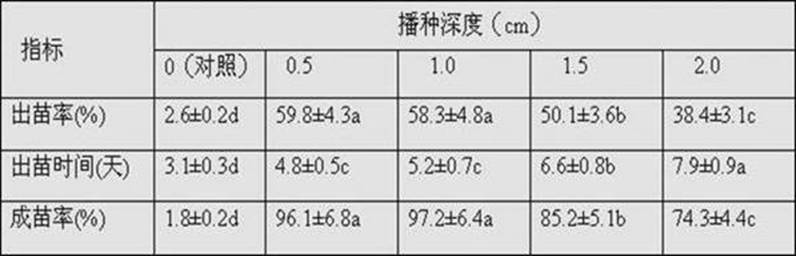 Method for raising seedlings of carex brunneopilosa seeds