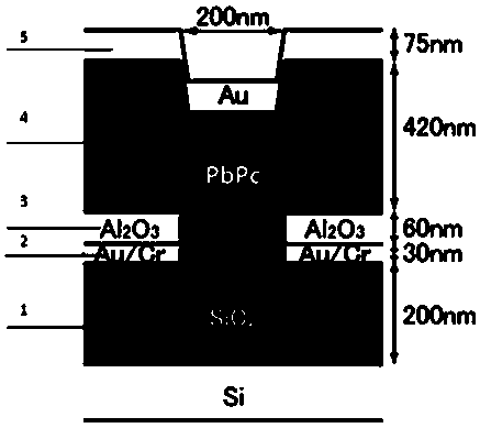 Organic transistor with transverse high-order structure