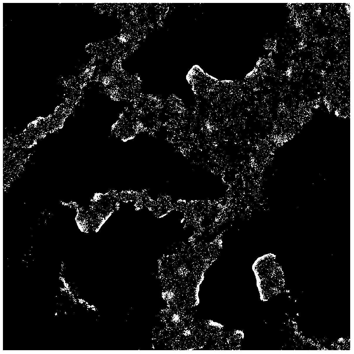 Bioactive bacterial cellulose-zein composite film and preparation method thereof