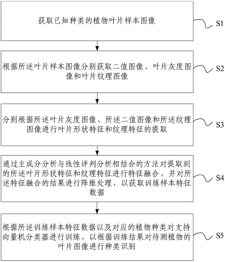 Leaf image multi-feature integrated plant species identification method and device