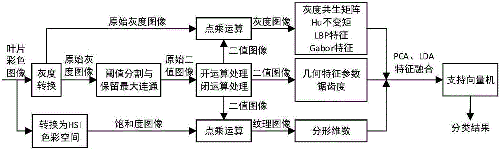 Leaf image multi-feature integrated plant species identification method and device