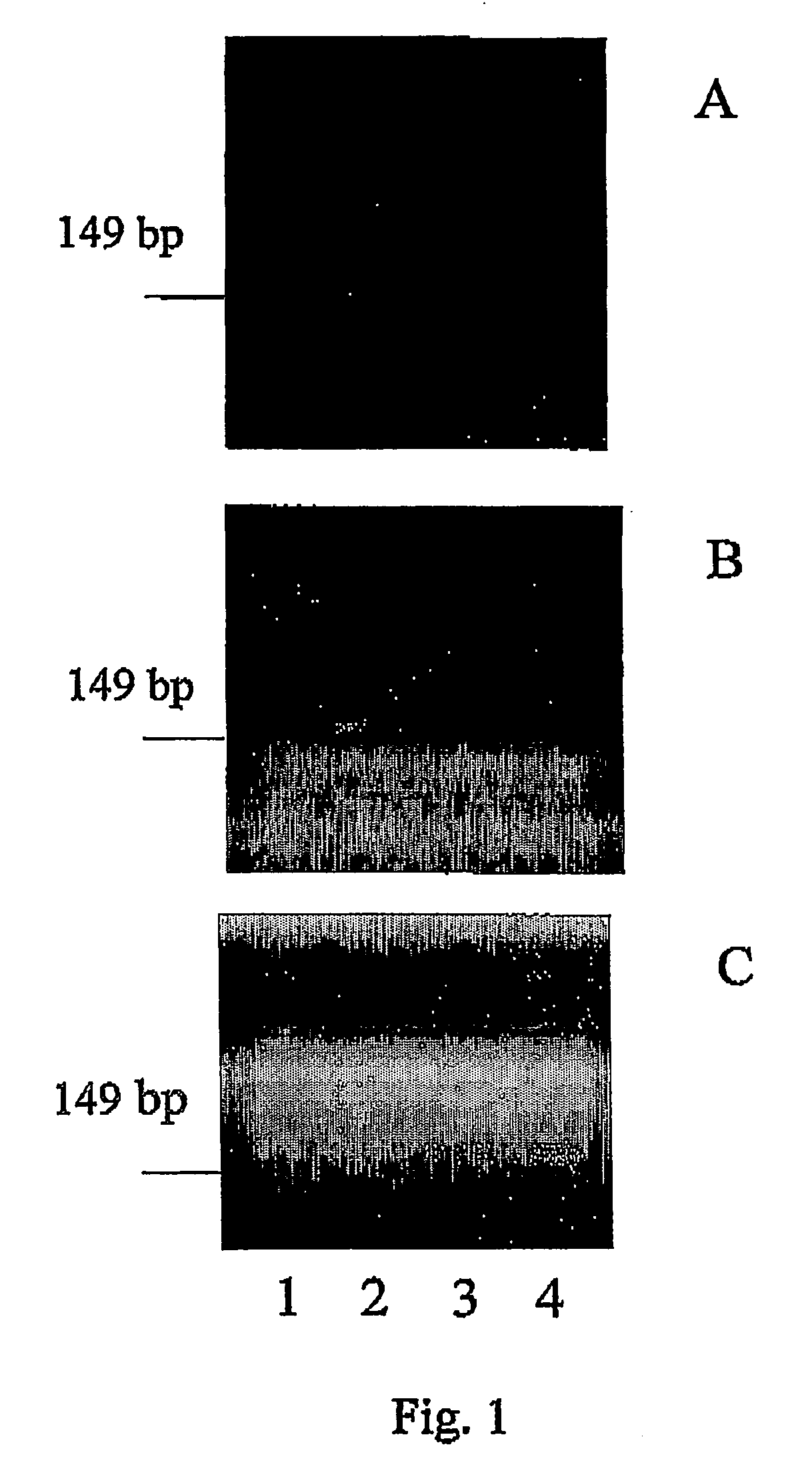 Detection of transgenes of genetically modified organisms using pyro luminescence