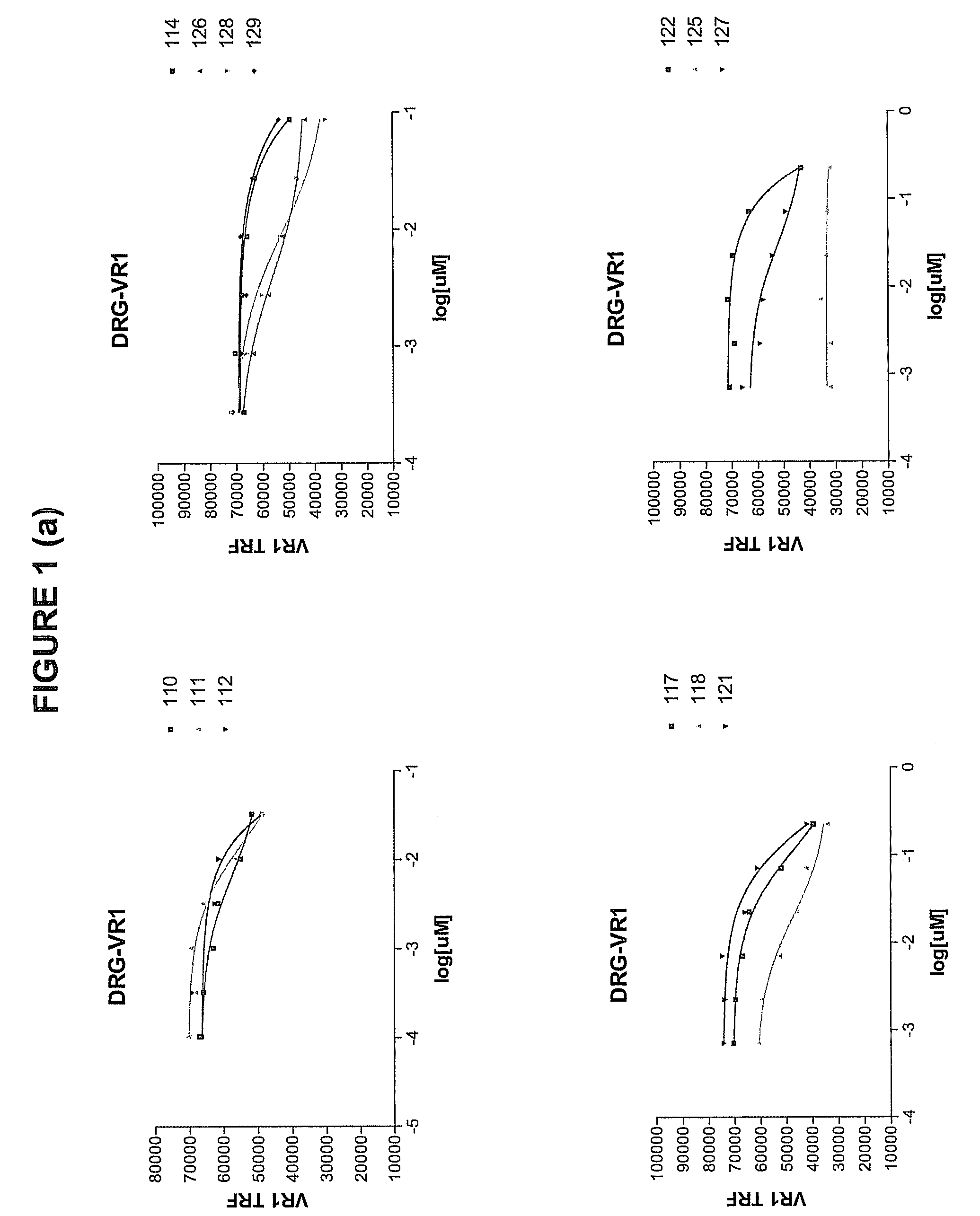 Human Anti-ngf neutralizing antibodies as selective ngf pathway inhibitors