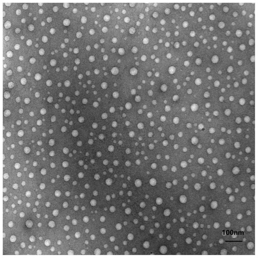 Temperature-sensitive cationic liposome capable of adsorbing graphene oxide and preparation of temperature-sensitive cationic liposome