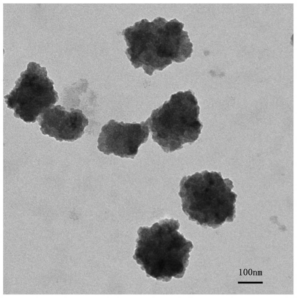 Temperature-sensitive cationic liposome capable of adsorbing graphene oxide and preparation of temperature-sensitive cationic liposome