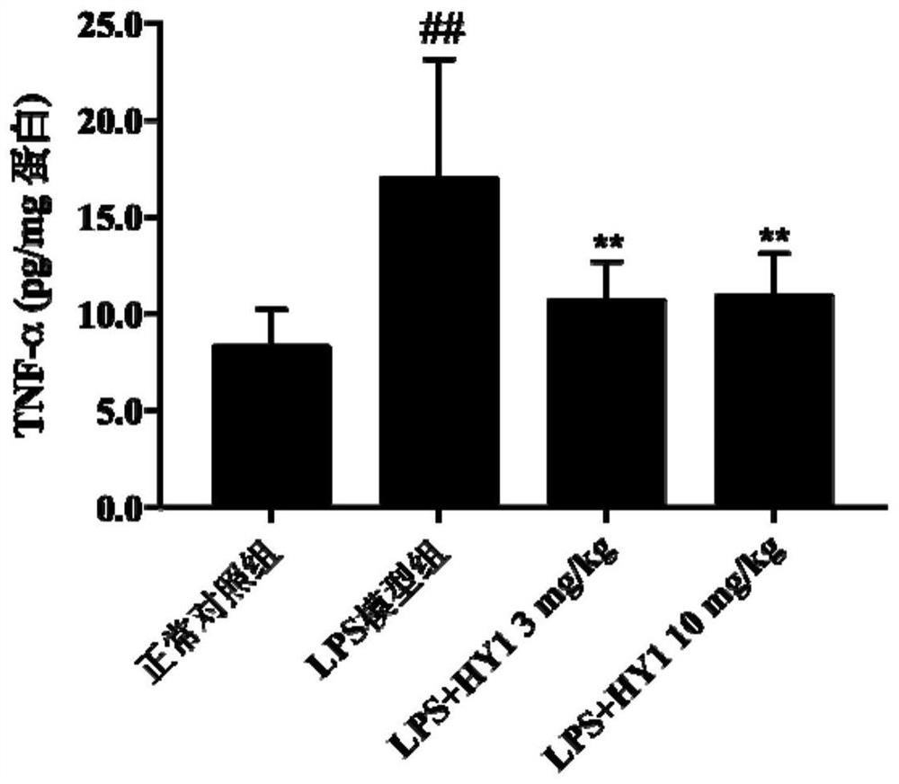 Application of elaifolin compound in preparation of neuroinflammation inhibition medicine