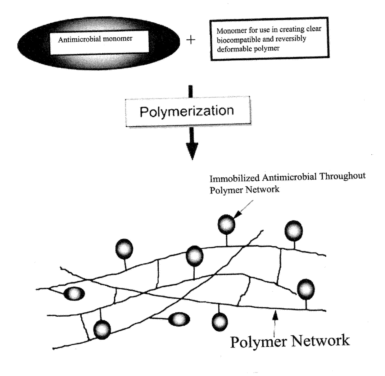 Antimicrobial Polymer for Use in Ophthalmic implants