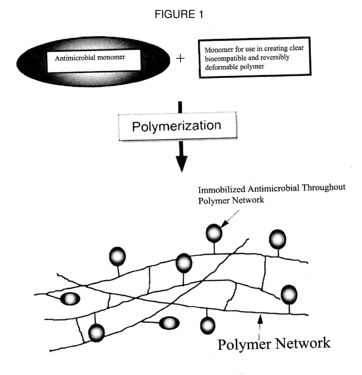 Antimicrobial Polymer for Use in Ophthalmic implants