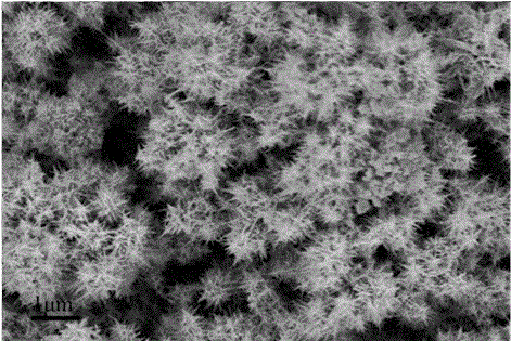 NiSe-Ni3Se2 three-dimensional pine needle shaped nano material for supercapacitor and preparation method thereof