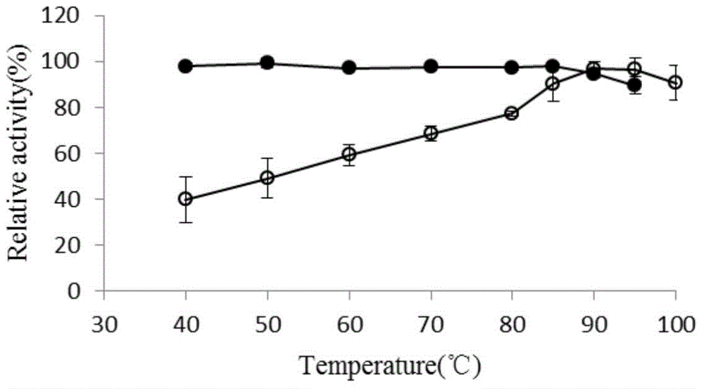 Thermus thermophilus laccase (benzenediol: oxygen oxidoreductases), engineering bacteria, recombinant laccase and use of recombinant laccase