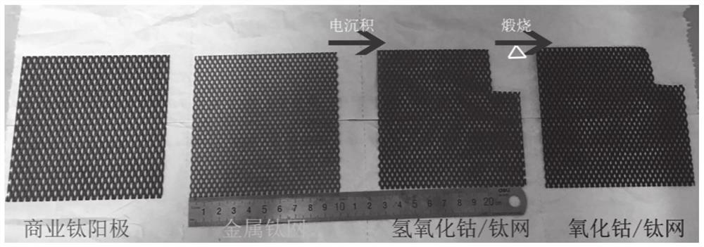 Cobalt oxide nanosheet chlorine evolution electrode, preparation method and application thereof