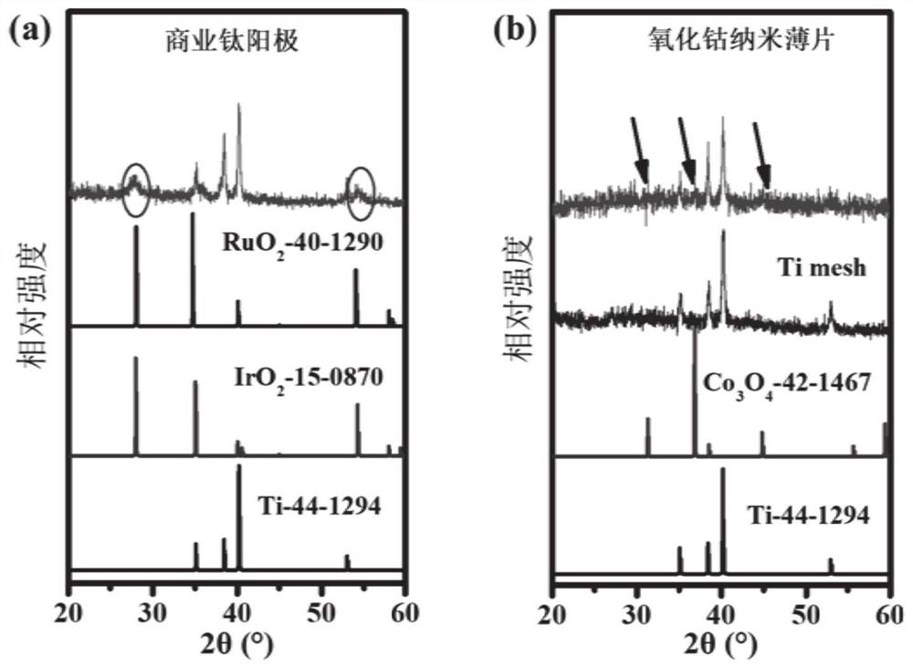 Cobalt oxide nanosheet chlorine evolution electrode, preparation method and application thereof