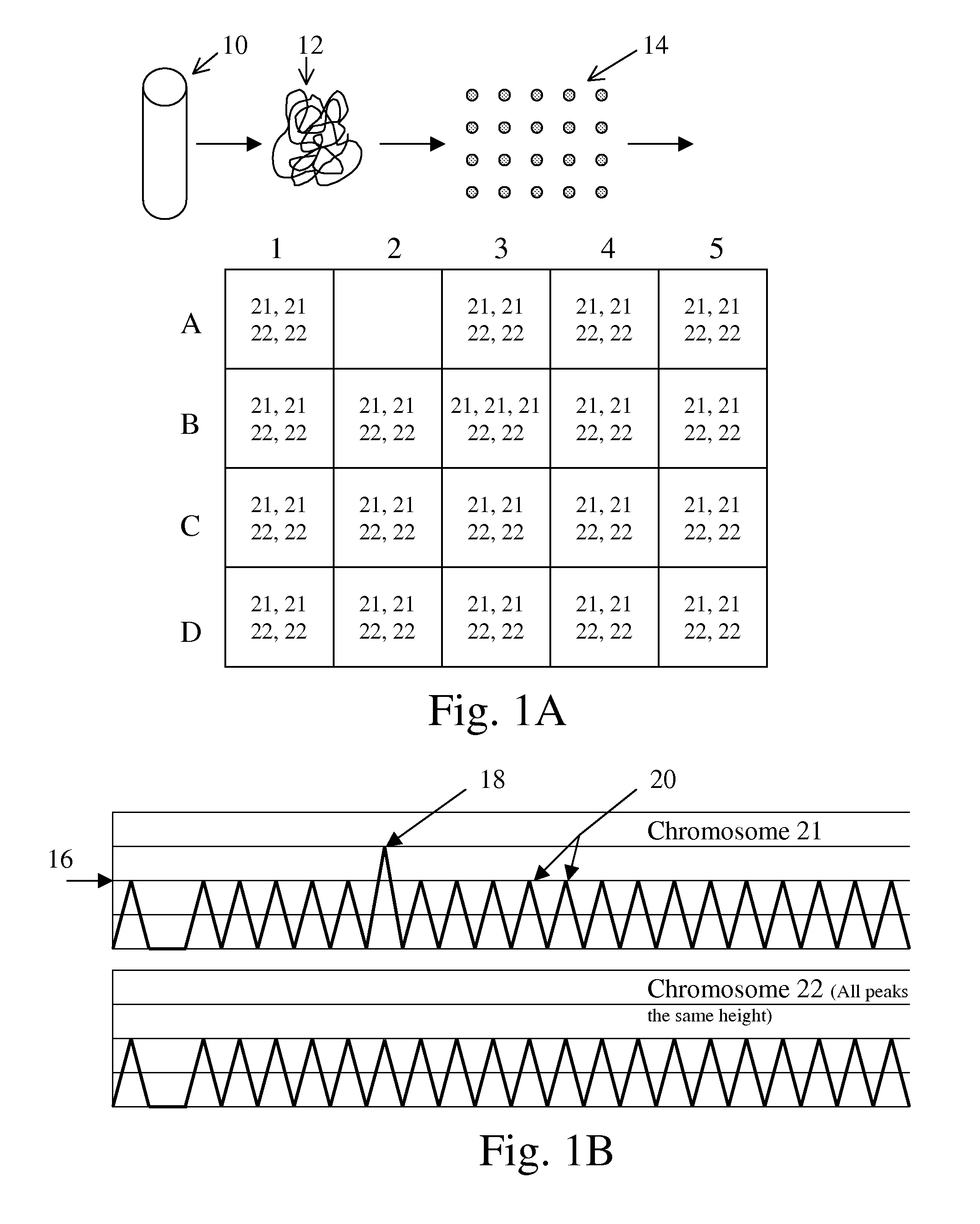 Non-Invasive Fetal Genetic Screening by Digital Analysis