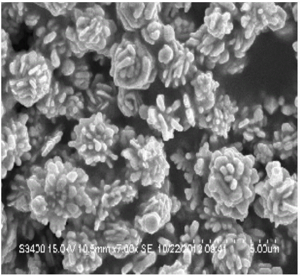 Synthetic method for flower type silver micron particles