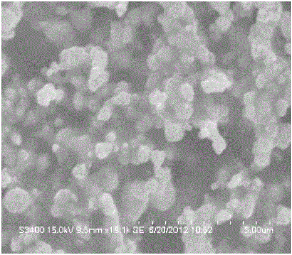 Synthetic method for flower type silver micron particles