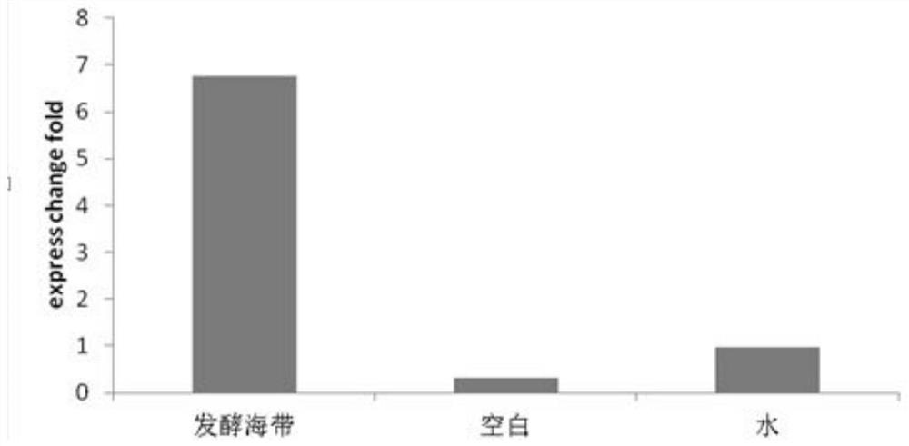 A method for preparing seaweed fermentation liquid by probiotic fermentation and application of the seaweed fermentation liquid in cosmetics