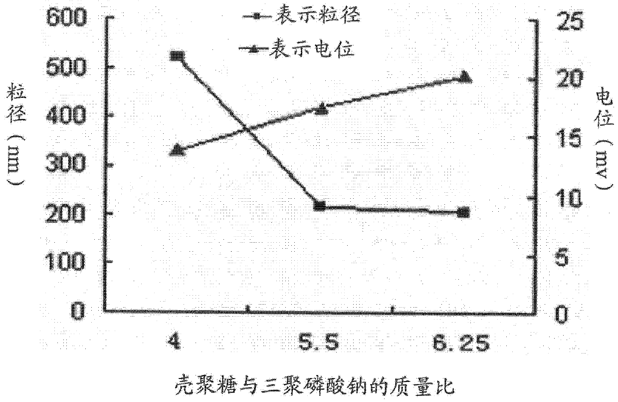 Mushroom polysaccharide chitosan nanoparticle and preparation method thereof